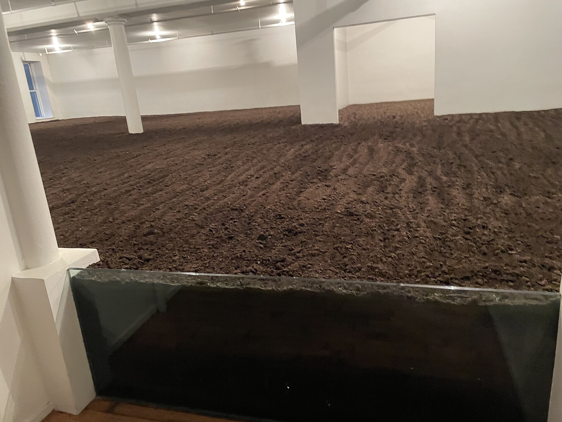A SoHo Loft Filled With Earth - Image 1