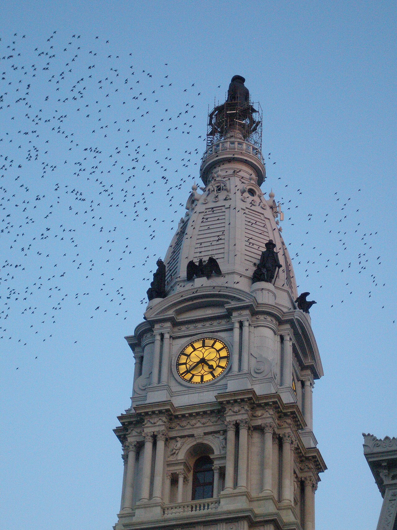 The Curse of Billy Penn - Image 2
