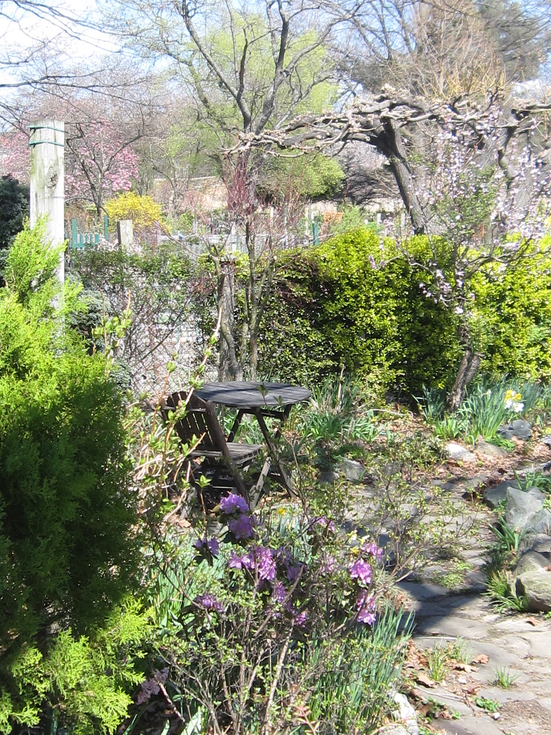 The Last of the Victory Gardens in the Fens - Image 1