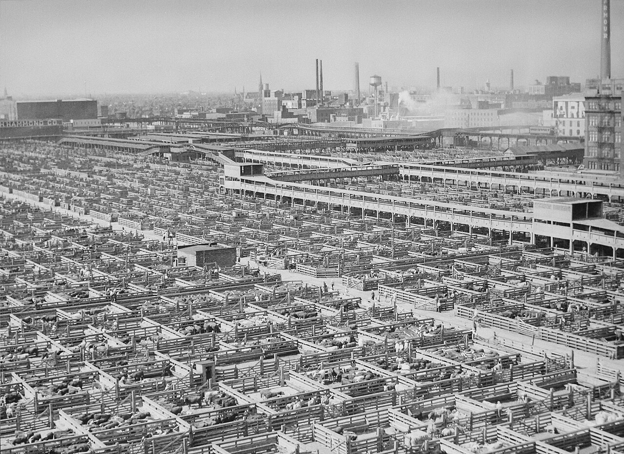 The Union Stock Yards Gate: Where Upton Sinclair Found The Jungle - Image 2