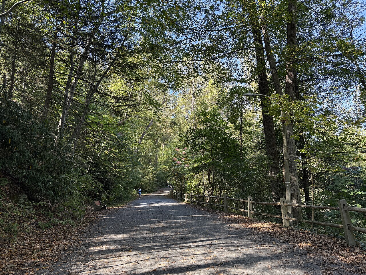 The Wissahickon Valley: Wilderness Inside a City - Image 1